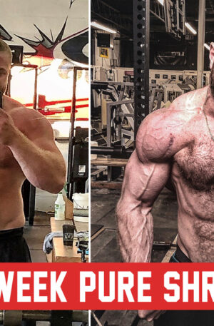 12 Week Pure Shred