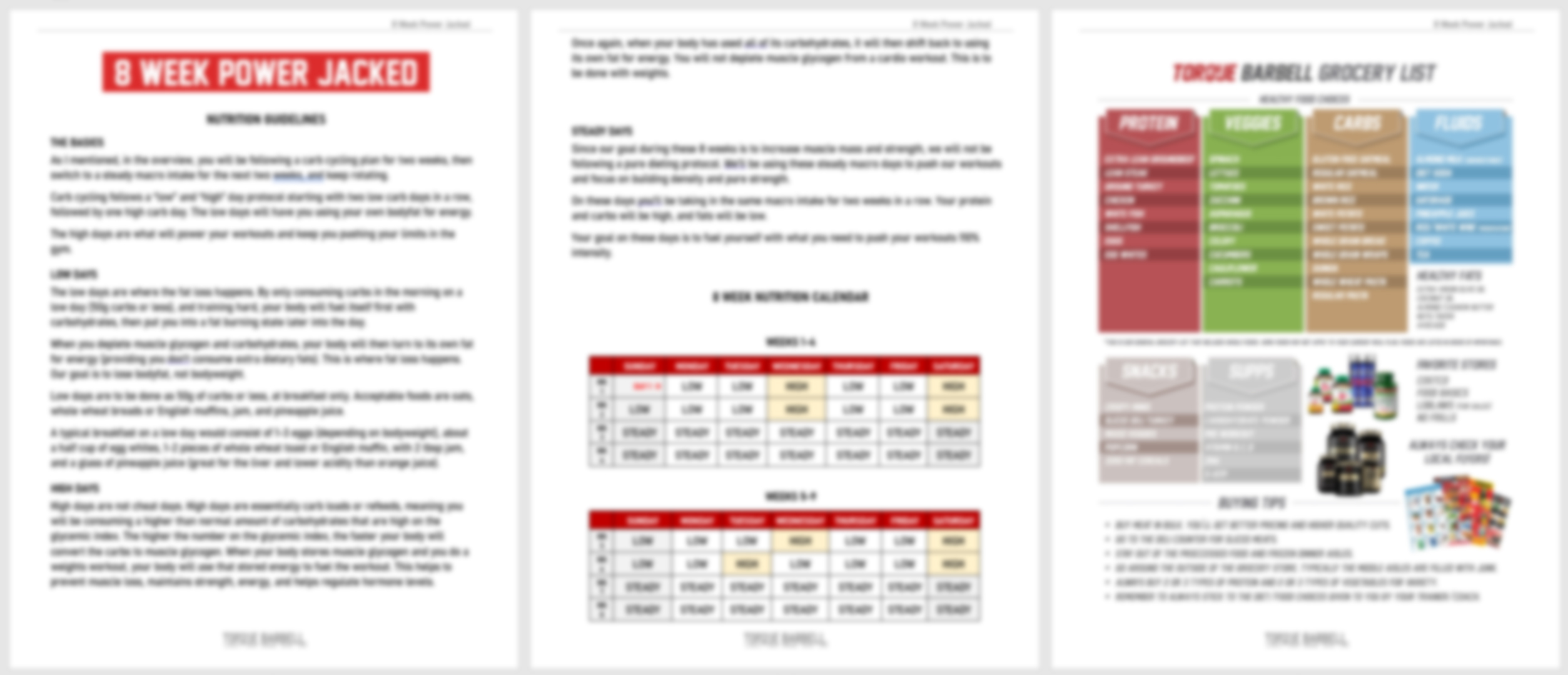 12 week shred program pdf download